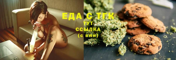 тгк Горнозаводск
