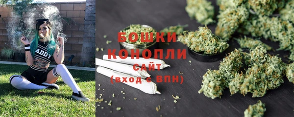 PSILOCYBIN Горняк