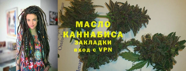 PSILOCYBIN Горняк