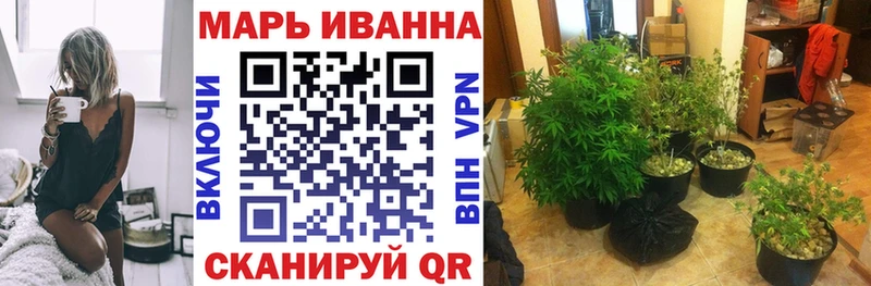 Купить где Лесозаводск Шишки марихуана OG Kush